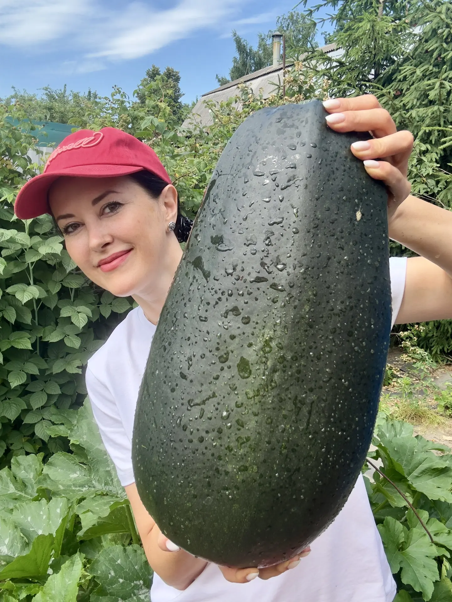 Что у нас интересного в огороде? 🍅🥒🍒