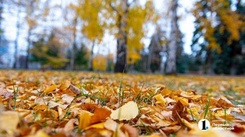 🍁 Синоптики спрогнозировали довольно тёплый и сухой октябрь 2026 года