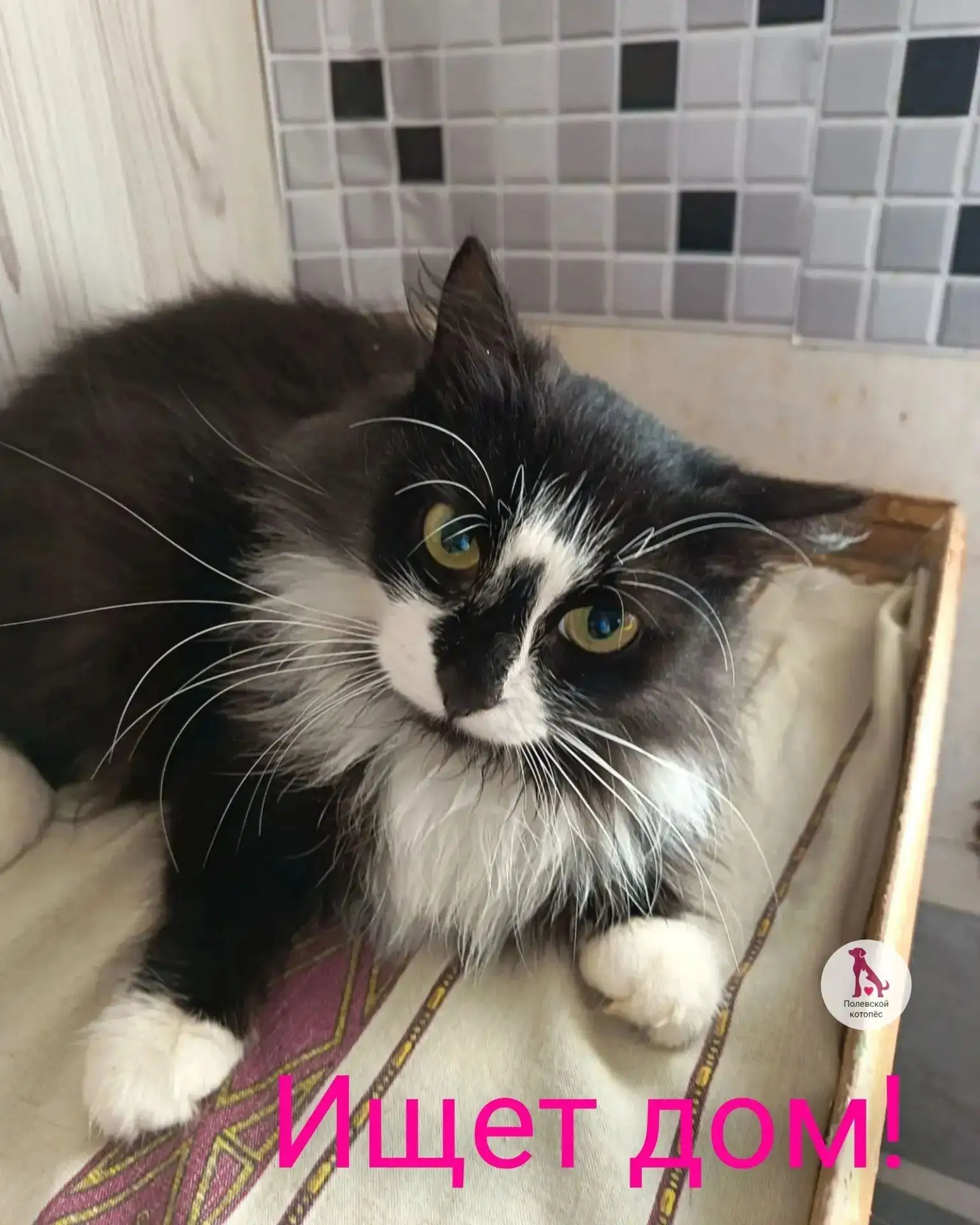 😻В её глазах надежда!