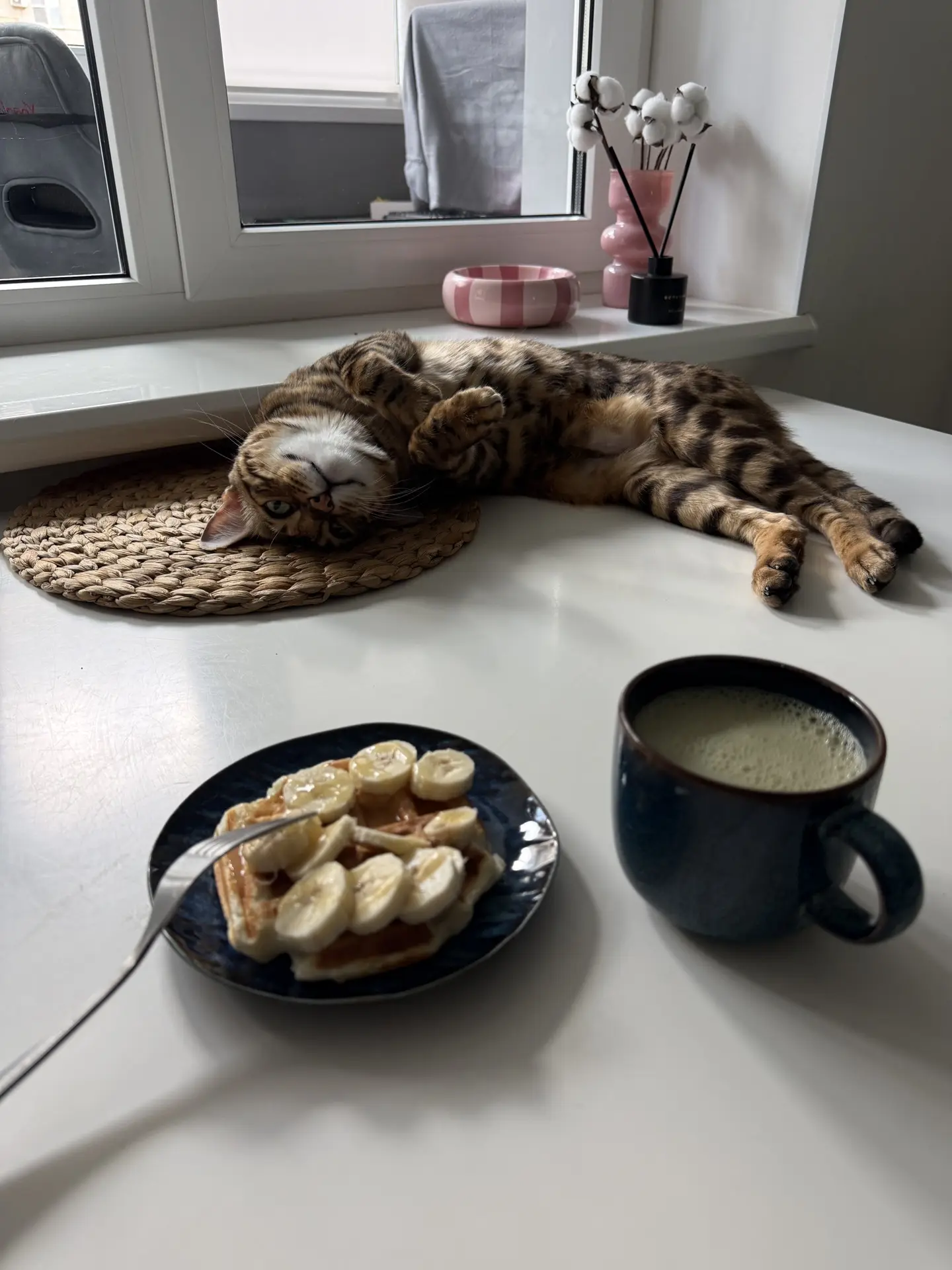 - с кем ты обычно завтракаешь?
- с котом!