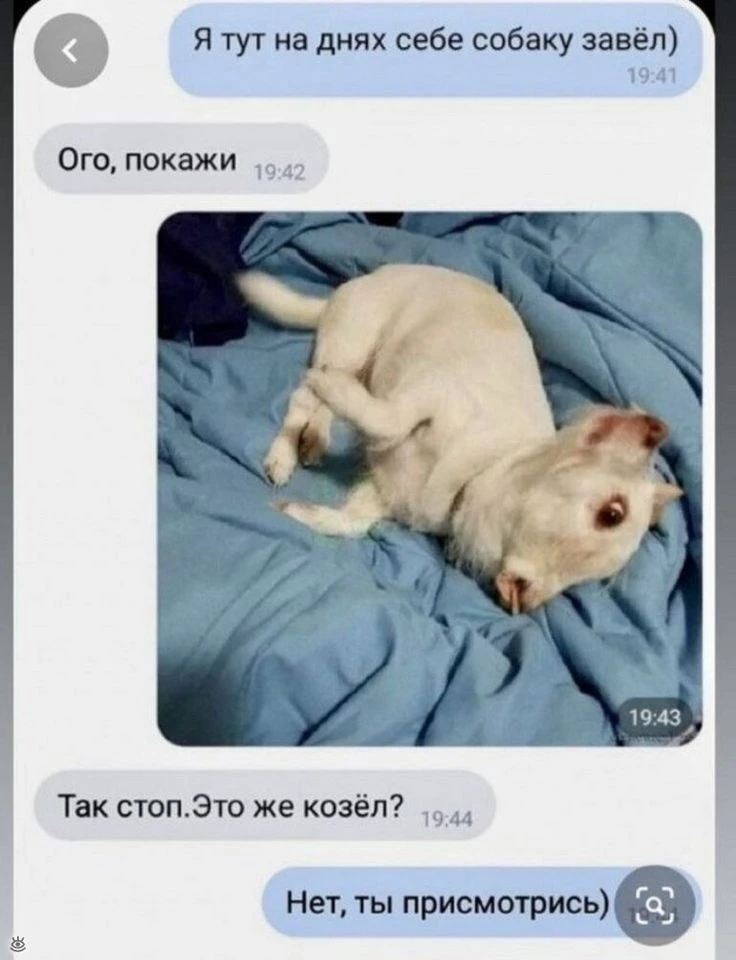 Внимание! Минутка диагностики рабочего состояния.