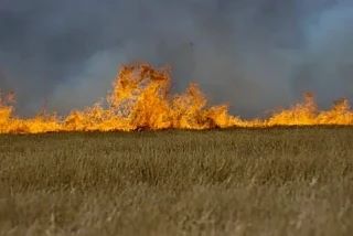 ❗️В Татарстане объявили штормовое предупреждение из-за высокой пожарной опасности