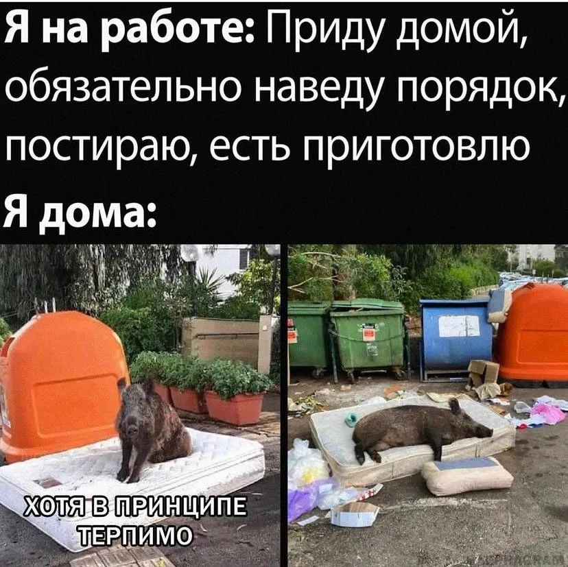 Загадывать можно.Самобичеваться, если загаданное не пошло и не сделано, НЕ МОЖНО🙃
