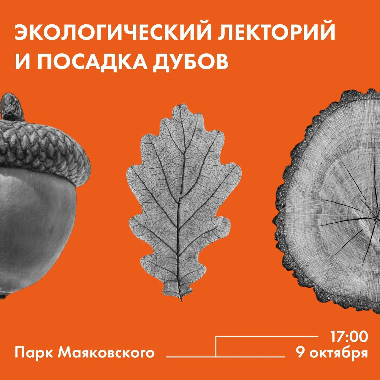 🌱 Спасаем планету в Парке Маяковского