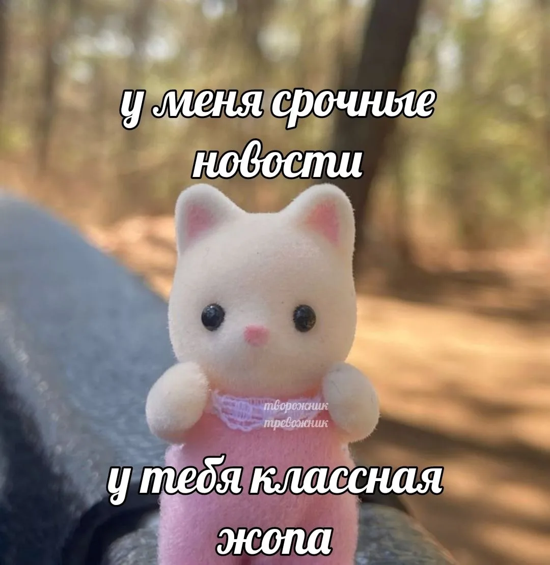 Учила мужчину базовым навыкам комплиментов. Потому что женщины любят не только лишь, когда терраса п
