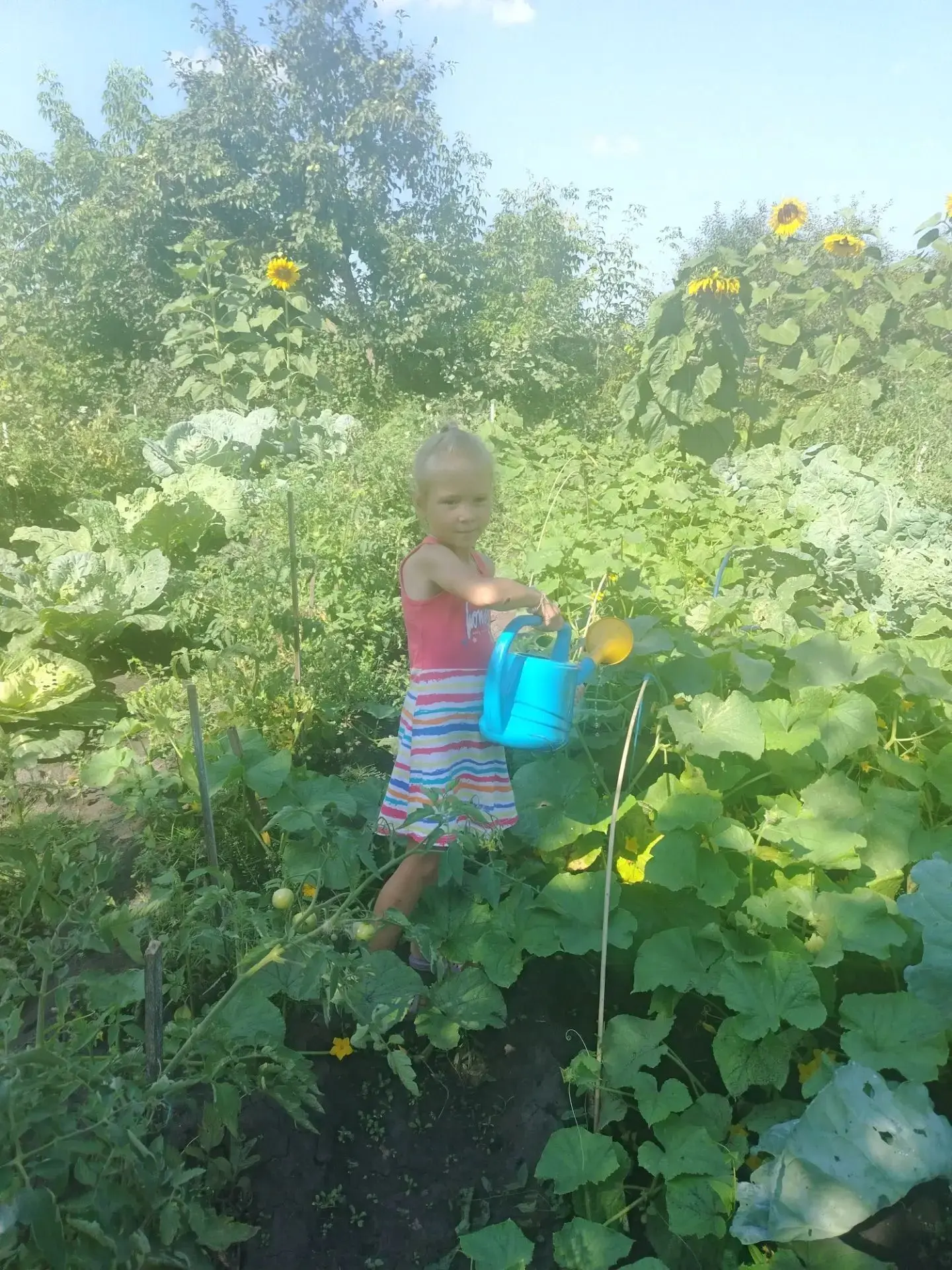 🌞 Калейдоскоп летних дней