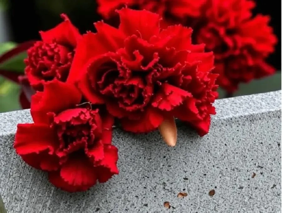 🕯️Ушла из жизни пресс-секретарь первого губернатора Оренбуржья Людмила Федоровская