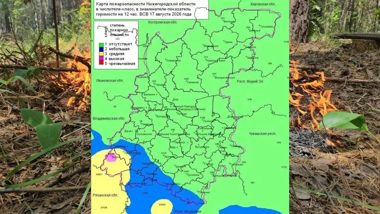 🔥 По данным регионального Минлесхоза на территории области в лесах установился 1, мест...