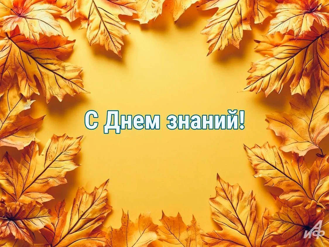 С праздником, дорогие друзья! С Днём Знаний! 🎓