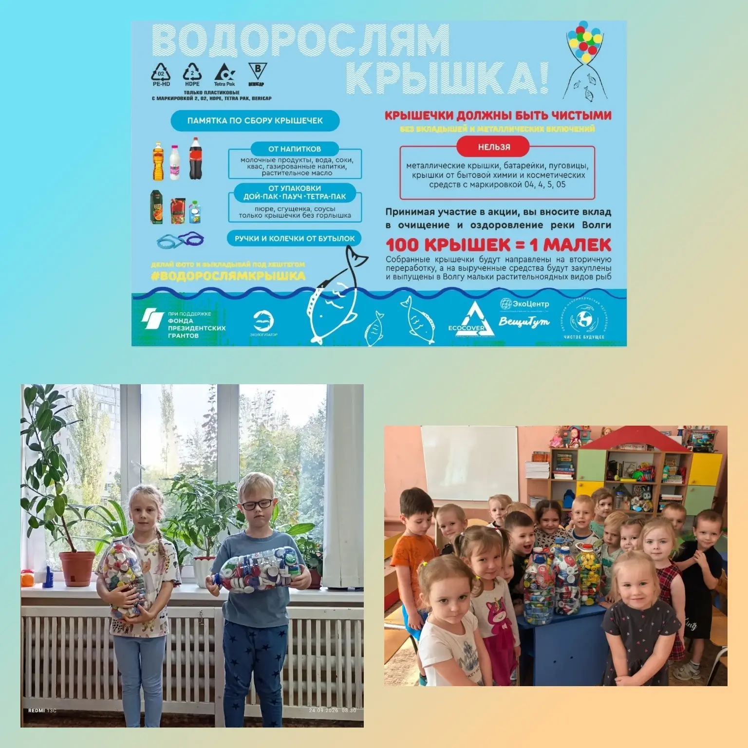 ☀️В детском саду № 173 «Тополёк» подведены итоги значимой экологической акции «Водоросл...