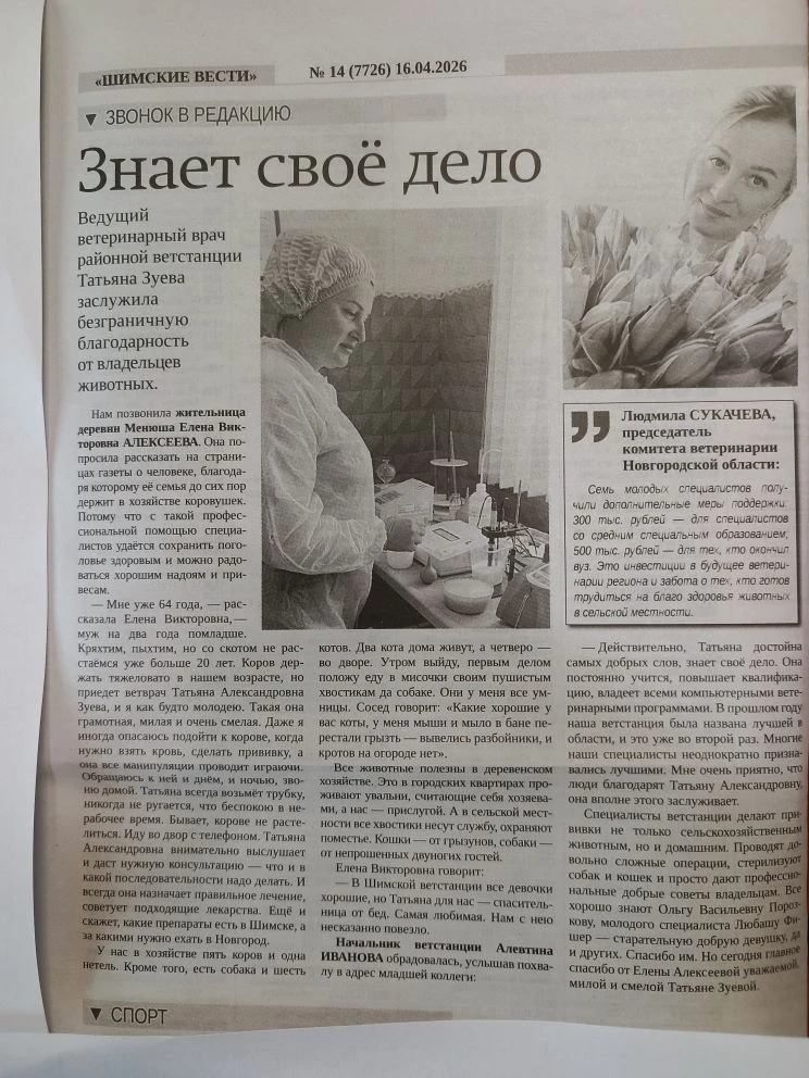 Медиа публикации