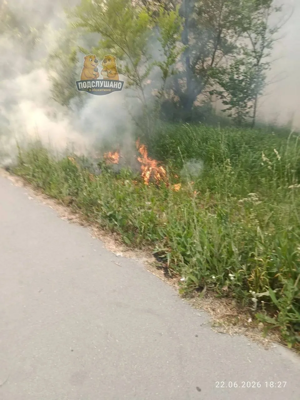 Здравствуйте, чьи такие молодцы подожгли тополь за ДК? Огонь пошел по траве и всей территории, дым п