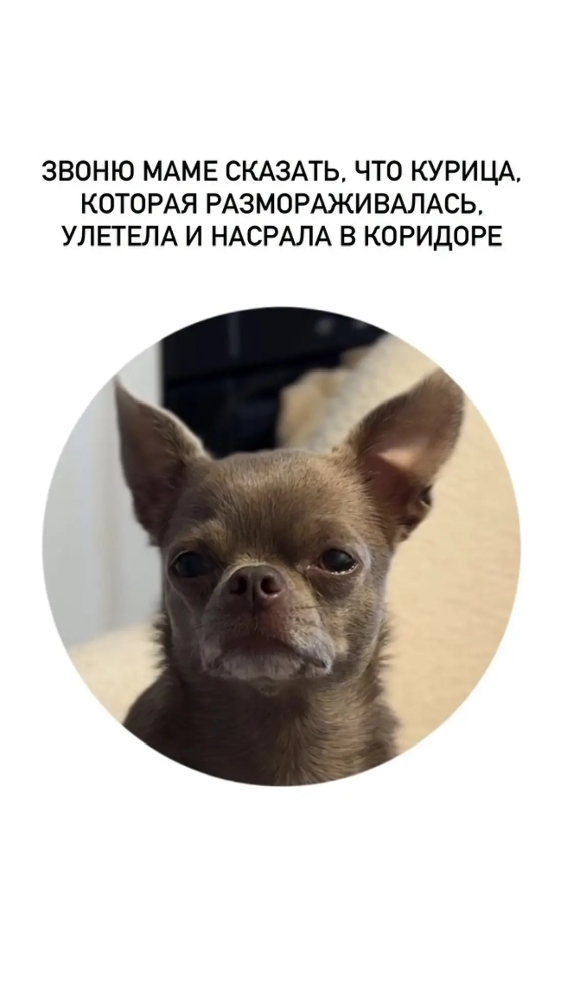 Ой хохотушки!