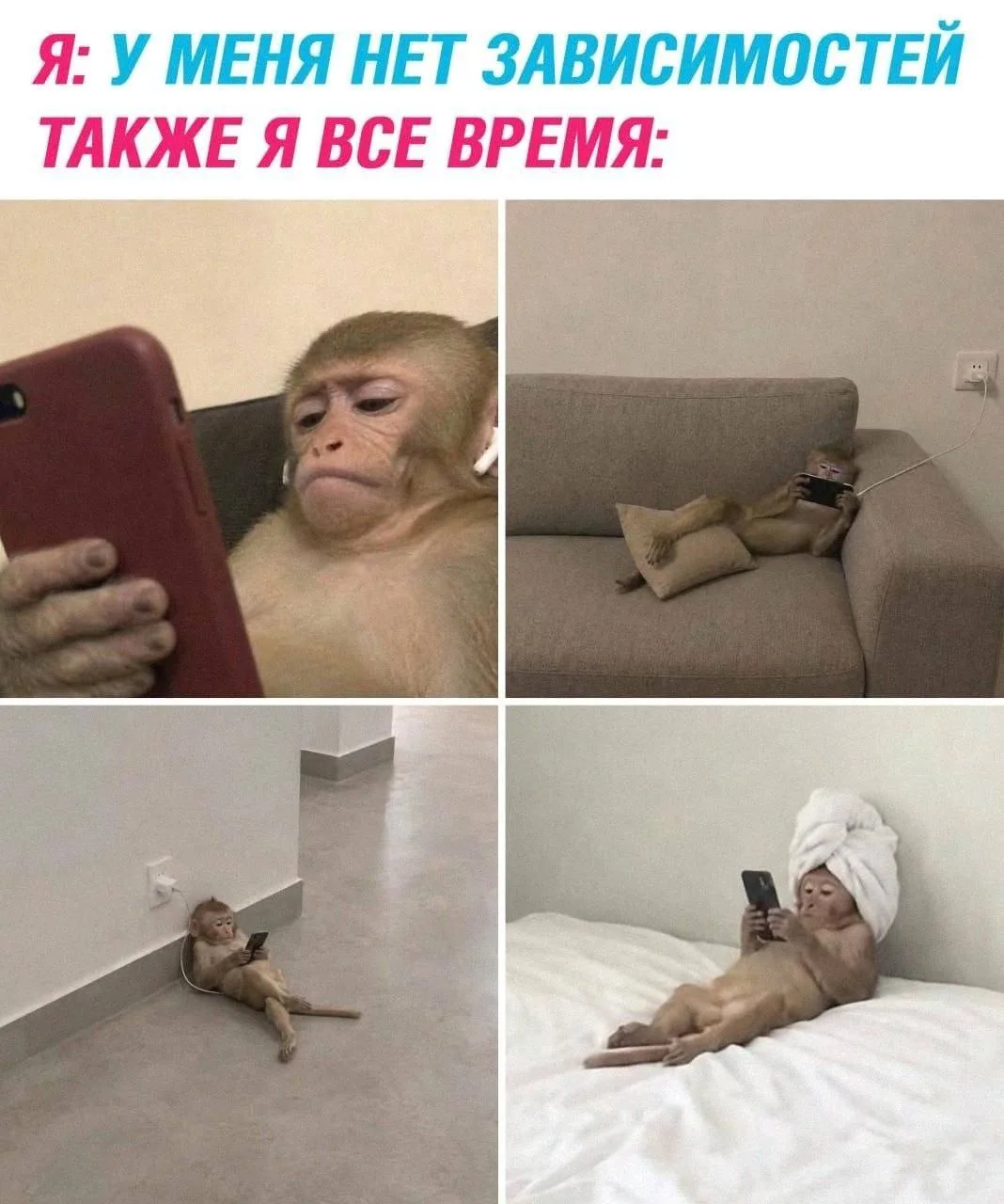 Подпишись на юмор 😂