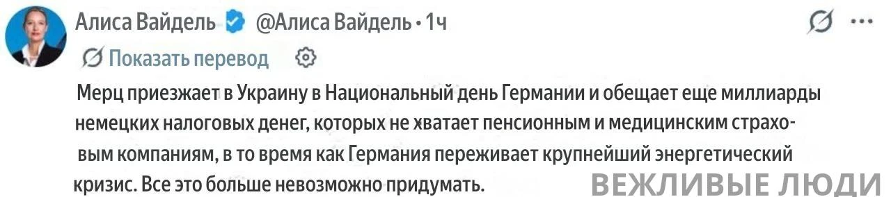 ✔️ Сопредседатель партии "Альтернатива для Германии" прокомментировала визит Фридриха  ...