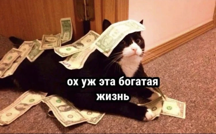 205 тысяч — средняя зарплата ямальцев

Округ вошел в тройку регионов РФ, где среднемесячный доход пр