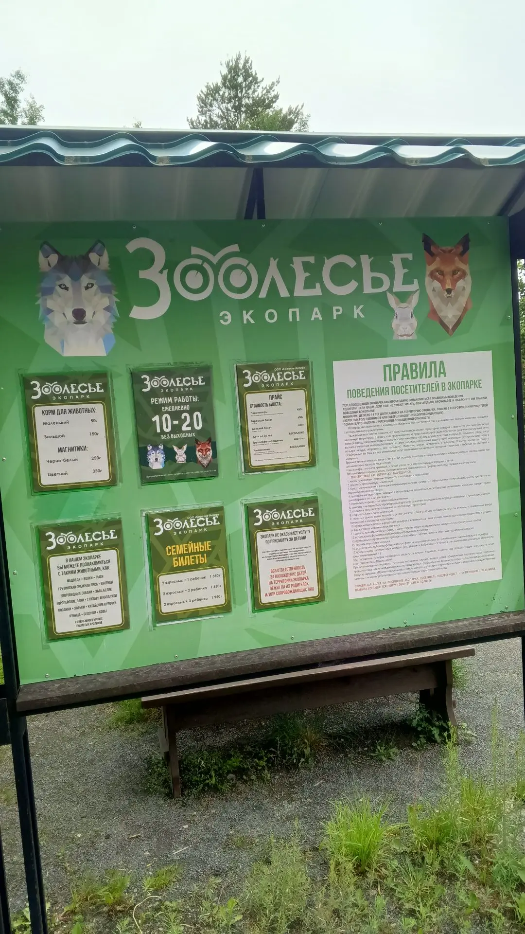 🐻 Мы нашли дикую природу прямо в городе!