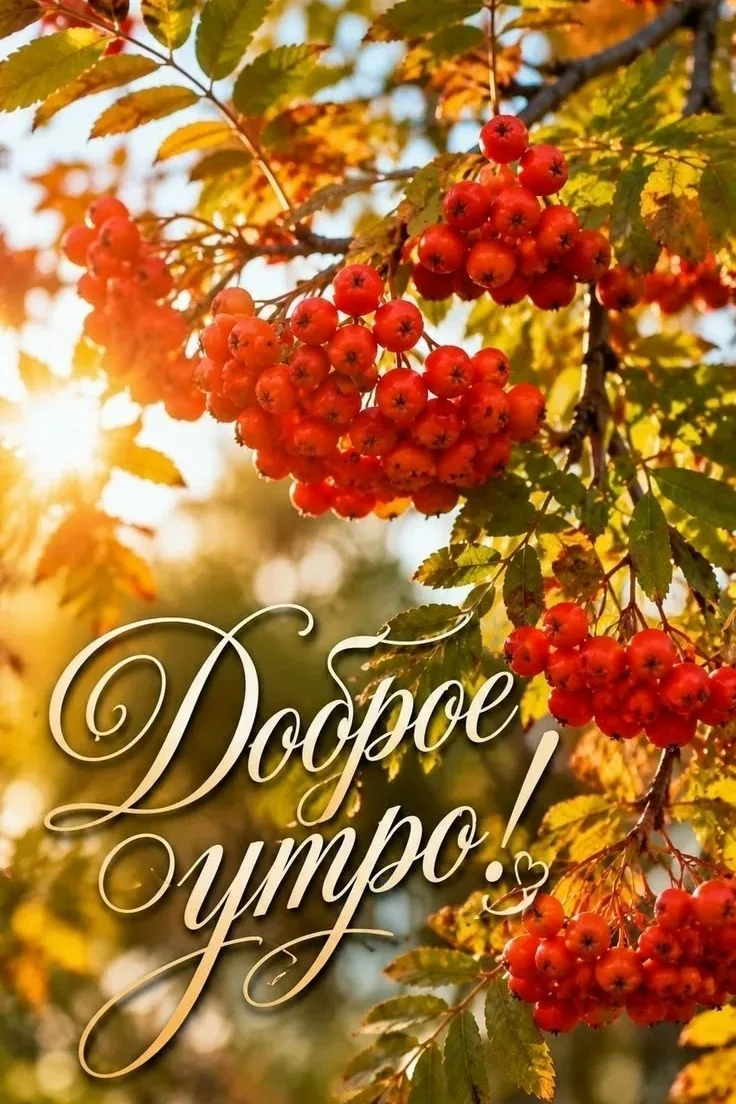 Доброе утро сентября! 🤗