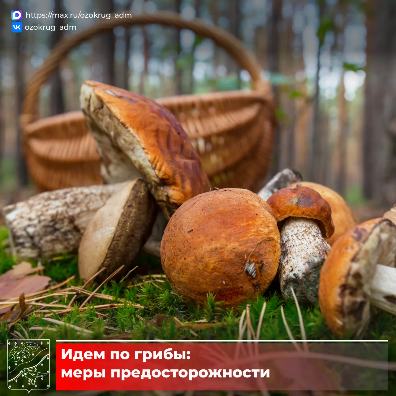 В лес – только подготовленными🌲