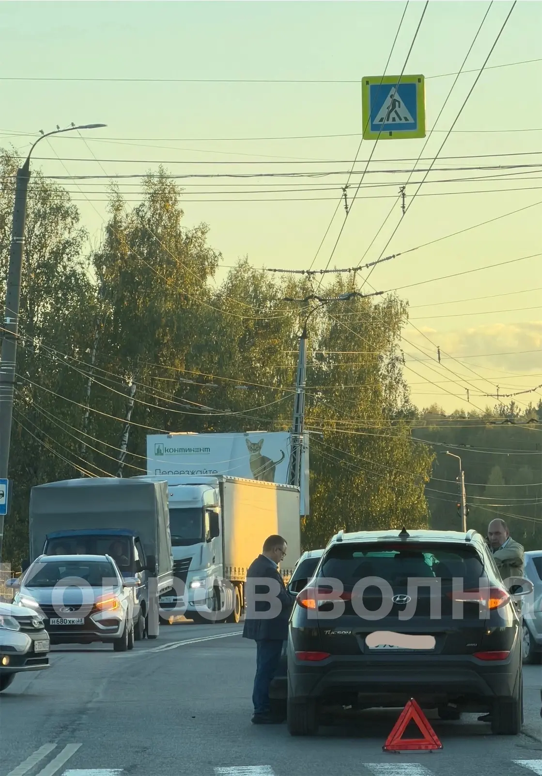 ЕЛОВАЯ И ВАТУТИНА‼️‼️