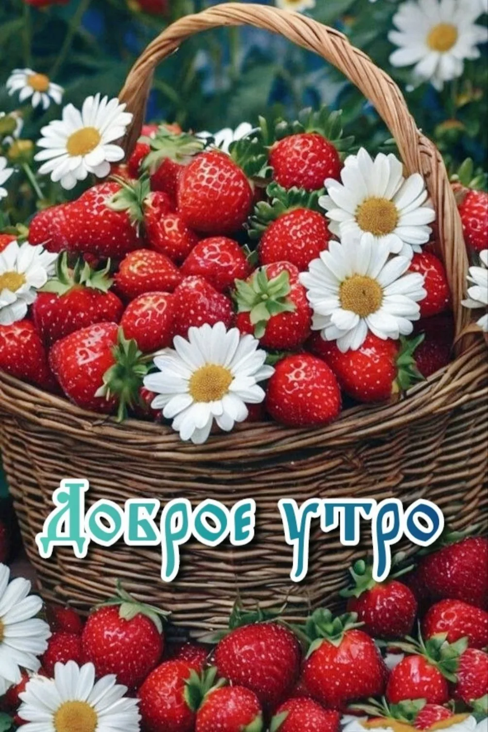 ☕️ #доброе_утро