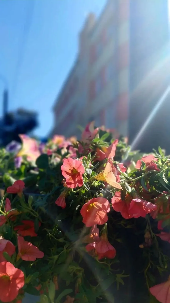 🌺 КИРОВКУ НАРЯЖАЮТ К ЮБИЛЕЮ