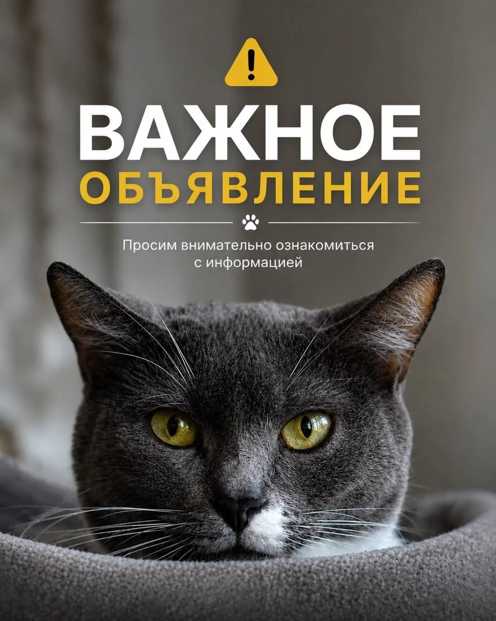 Друзья, хотим поднять важную тему🙌🏻

В последнее время периодически возникают ситуации, когда люди