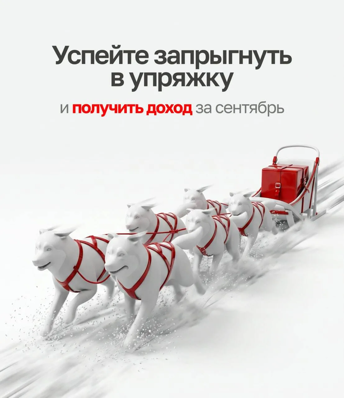 🐺 $XACCSK звучит почти как «хаски»