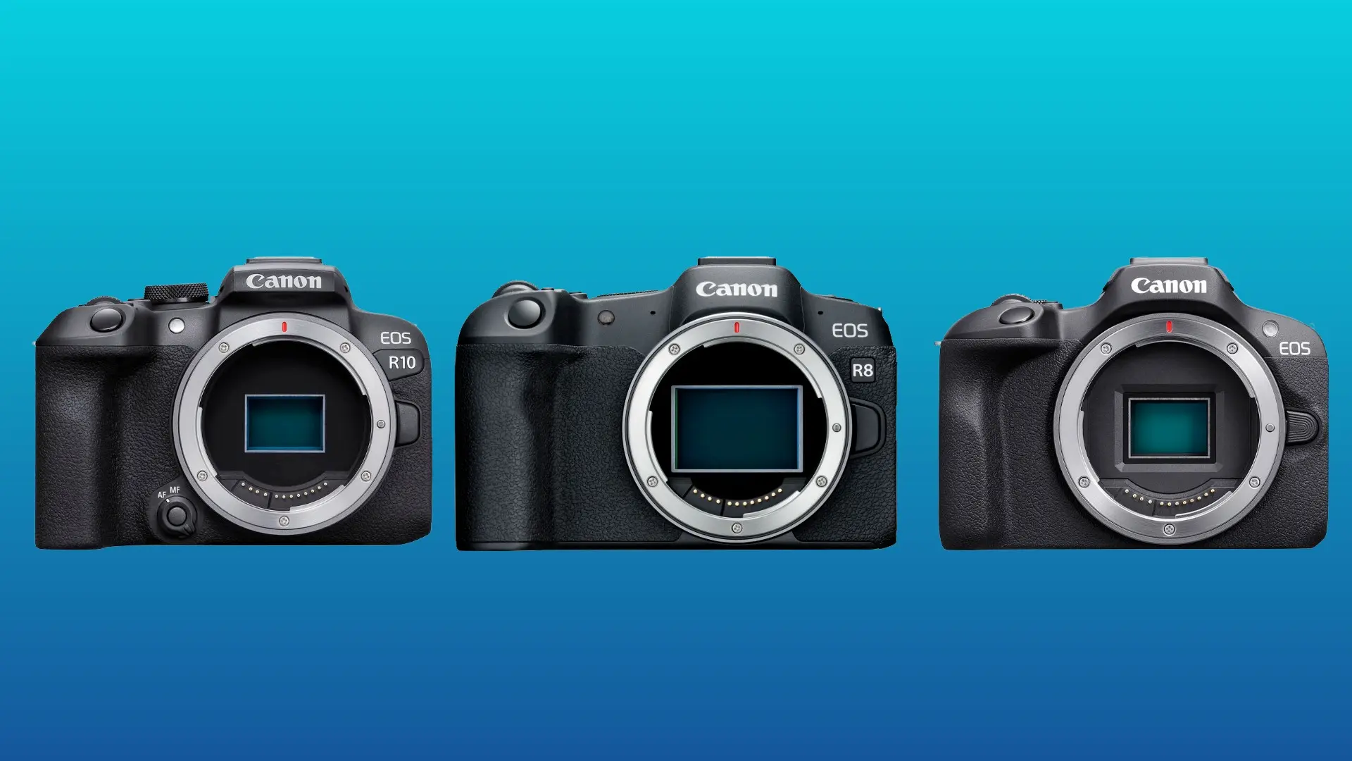 Canon выпустила новые прошивки сразу для пяти камер линейки EOS R. Обновления получили ...