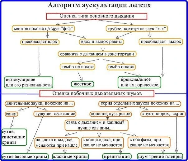 Аускультация легких