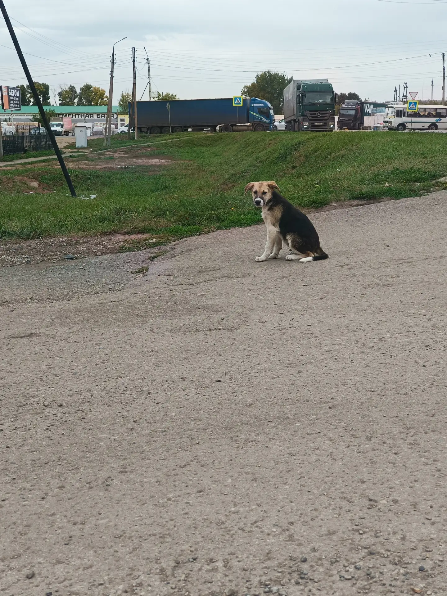 SOS! СРОЧНО! ЖИЗНЬ НА ГРАНИ! 💔 Туймазы!