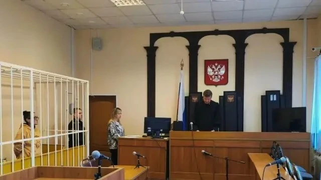👀Жительница Родников отправится в колонию за миллионный долг по алиментам