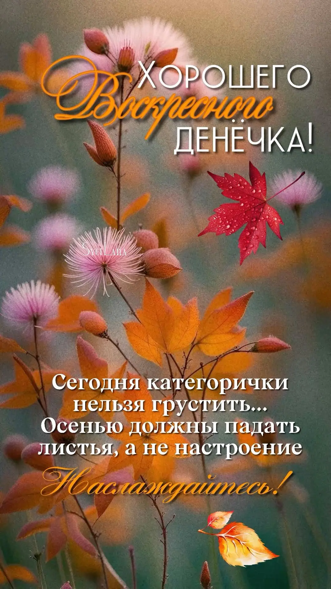 💞Красивые открытки💞
