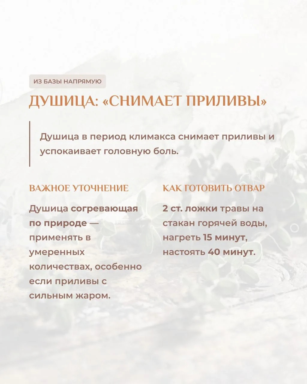 Каждой второй с приливами сразу предлагают гормоны. Я понимаю врачей ГЗТ работает. Это медицинский ф