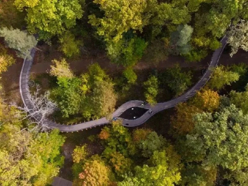 🌳 Воздушная экотропа на ВДНХ