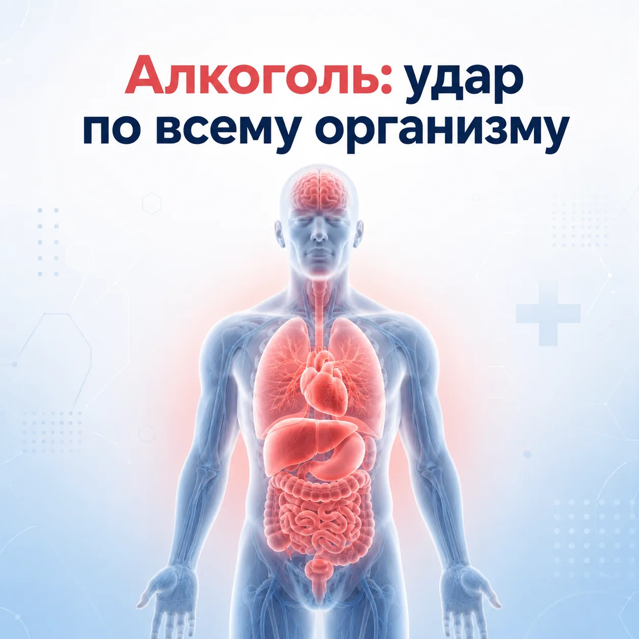 Алкоголь: удар по всему организму