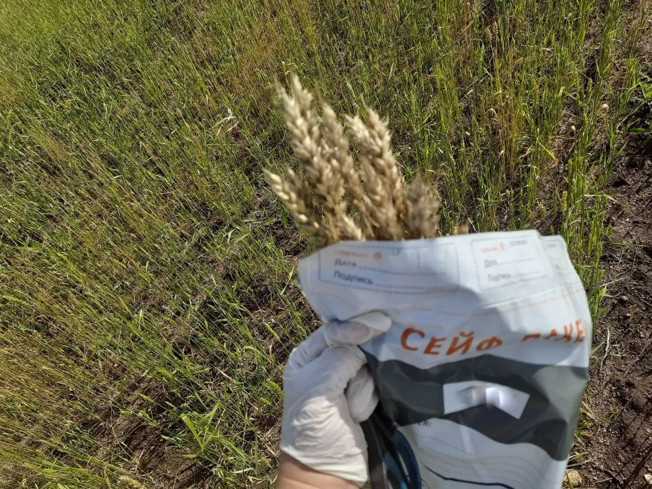 🌿 Россельхознадзор в рамках фитомониторинга обследовал почти 4 млн га  в Забайкалье
