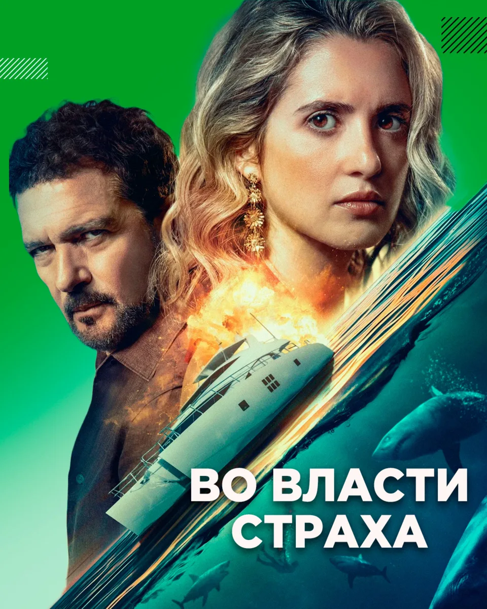 Хотели посмотреть на белых акул поближе. В итоге сами оказались добычей.
