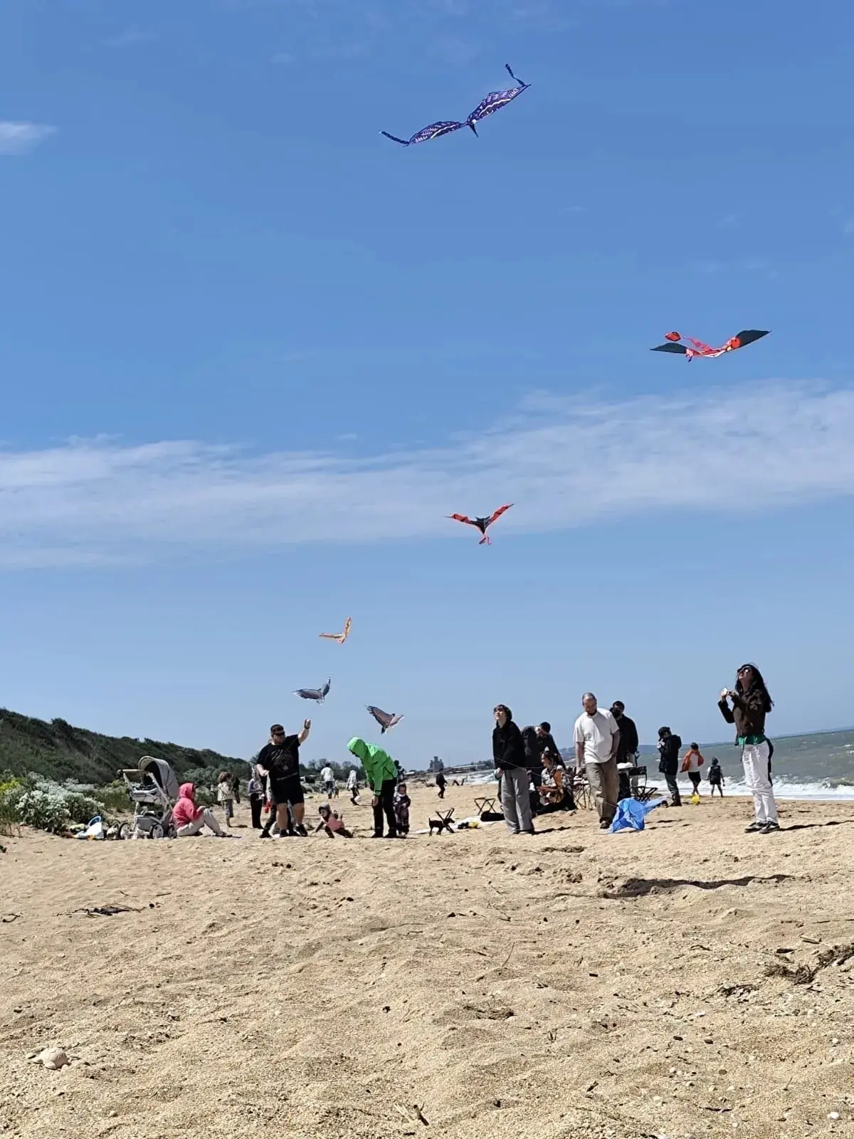 🌊 В станице Голубицкой запустили в небо больше 12 воздушных змеев — и даже кита!  Клуб молодой семьи