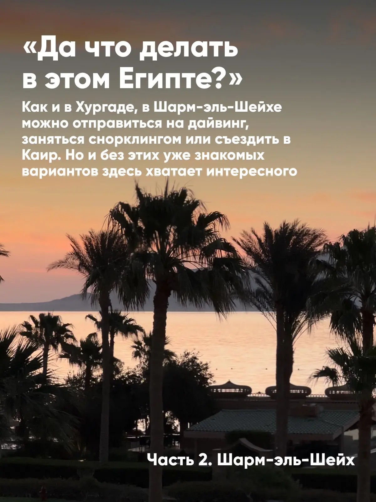 «Да что делать в этом Египте?»