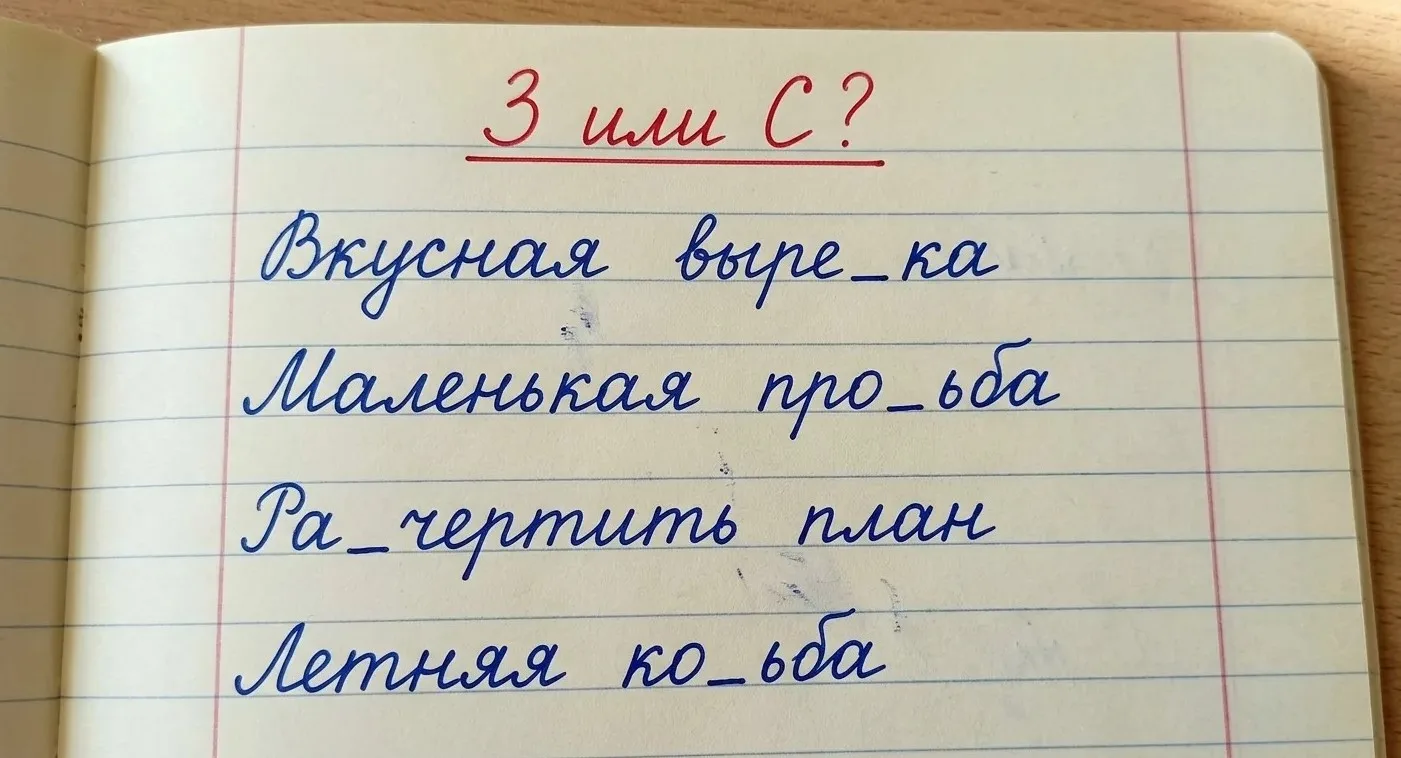 З или С: сможете правильно написать все 4 слова?