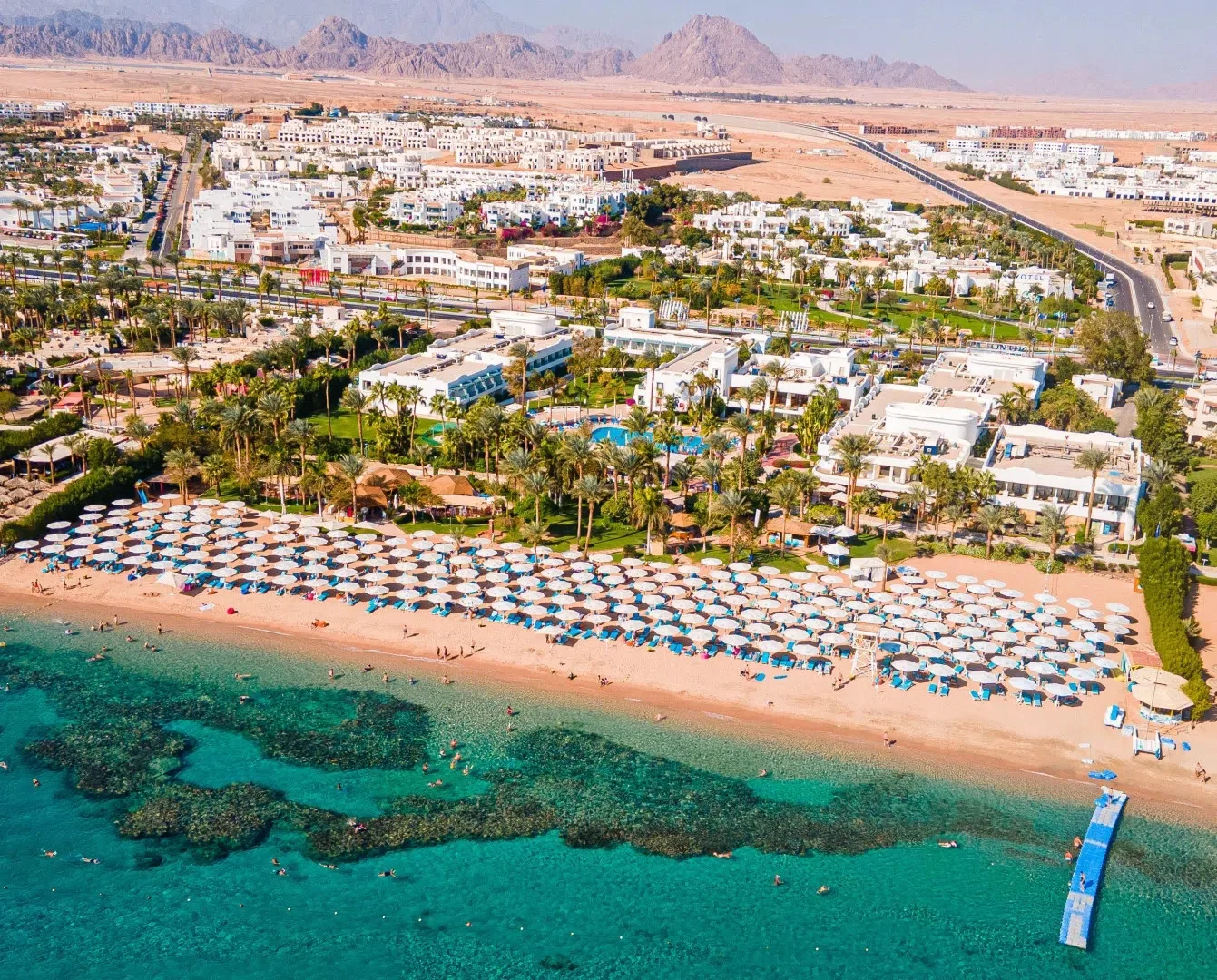 Египет | Шарм-эш-Шейх, Наама 🇪🇬 

Два отеля с общей инфраструктурой:

Novotel Palm 5* = 161 000р н