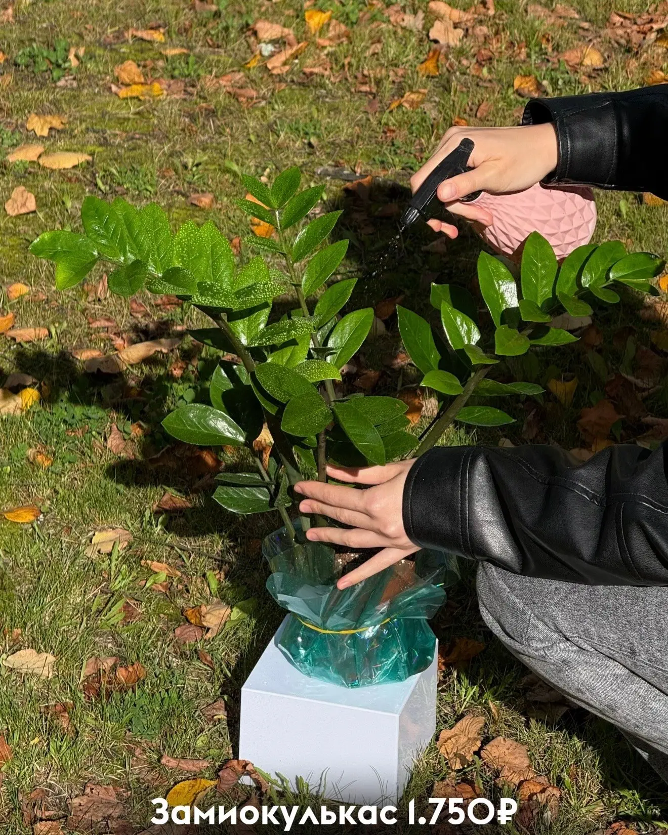 Добавить немного зелени в интерьер — иногда именно этого и не хватает 🌿