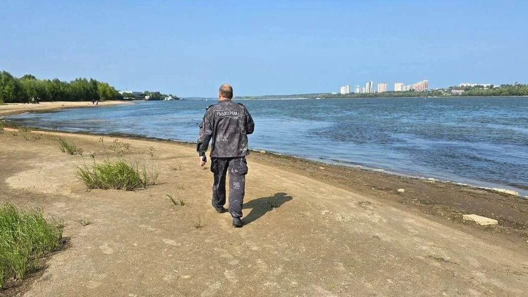 Сразу несколько тревожных случаев, связанных с гибелью рыб и птиц, зафиксировано в Ново...