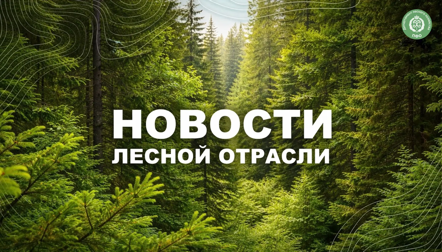 🟢 Новости Саратова: В Саратовской области для выявления лесных пожаров задействовали 2...