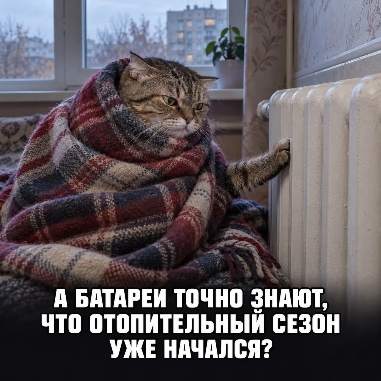 «Стучит зубами днём и ночью»: омичи жалуются на холодные батареи и отсутствие горячей в...