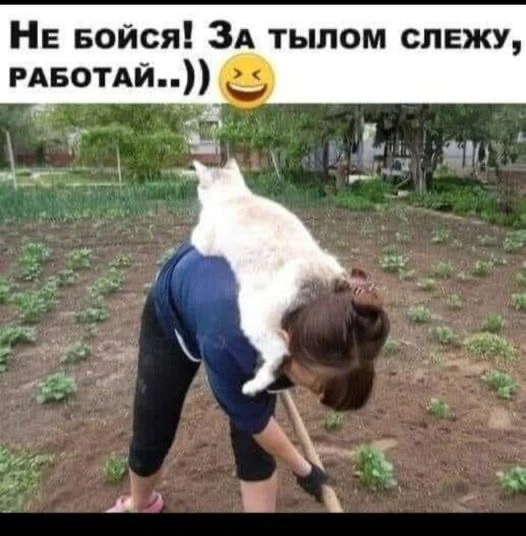 Юмор | Приколы | Мемы 👇🏻