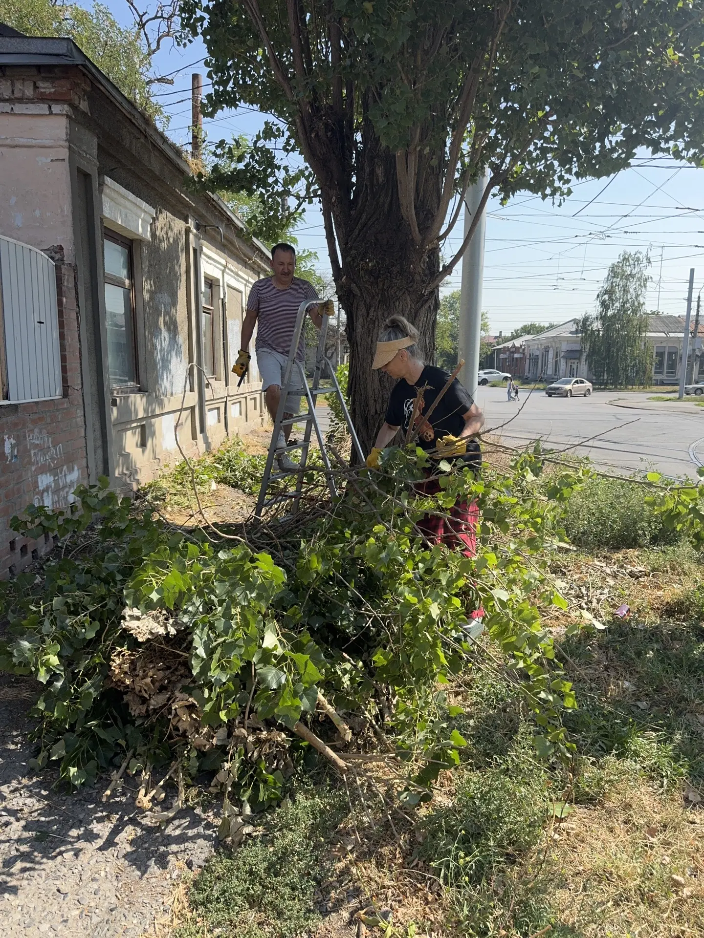 На прошлой неделе открываю ВКонтакте, а мне попадается пост волонтёров Таганрога. Ребят...