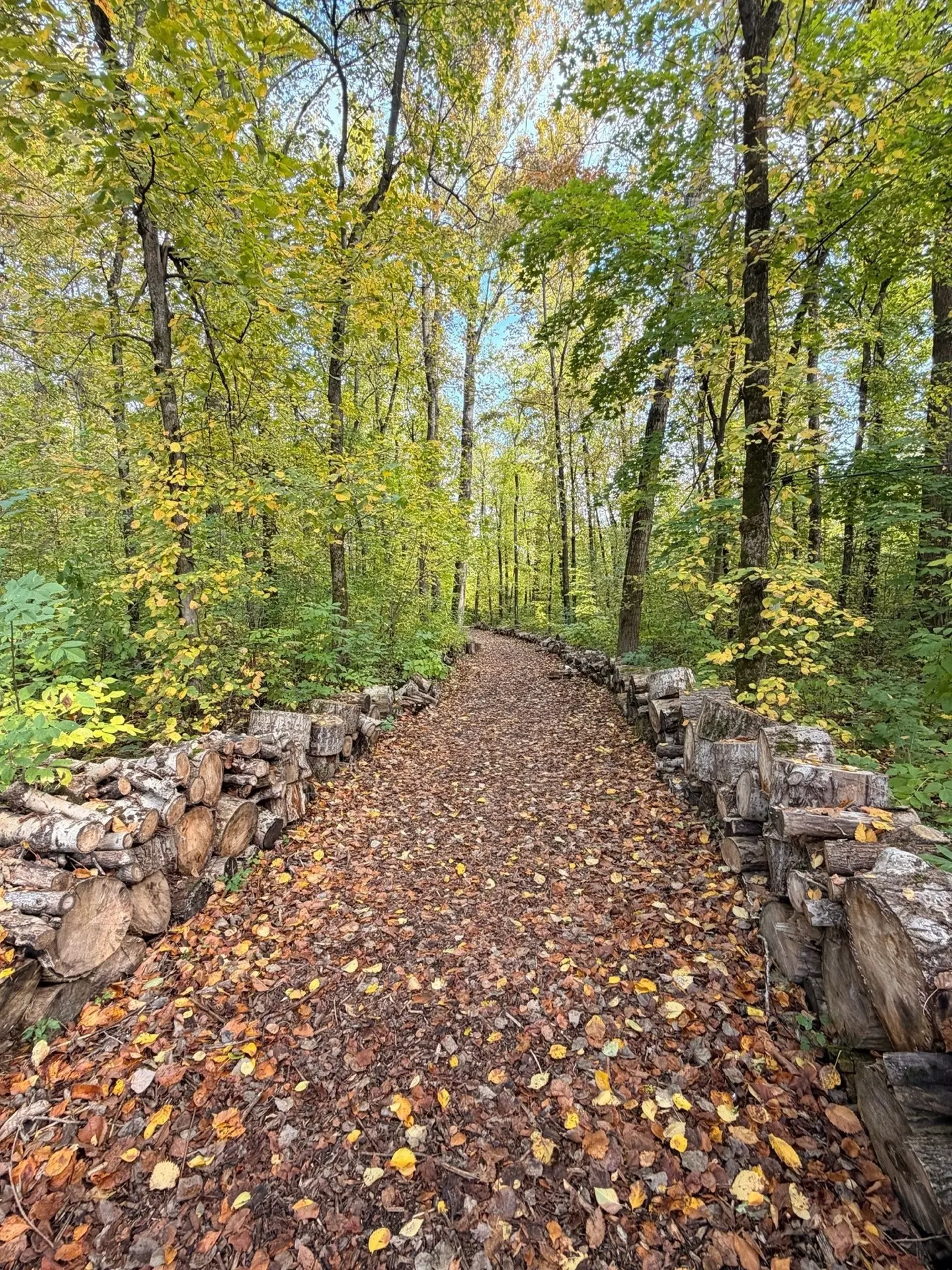 Боевка. 🍂🍂🍂