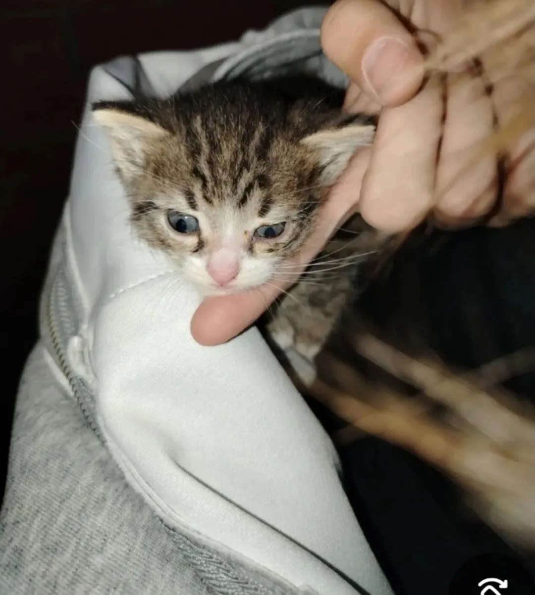 🆘❗🆘❗🆘❗🆘❗🆘❗ Октябрьский! Мальчишка, совсем малыш, найден на дороге. Девочка просто ...